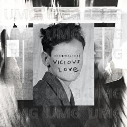 Vicious Love - Niko Walters