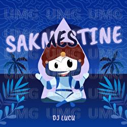 Sakmestine - DJ Lucu