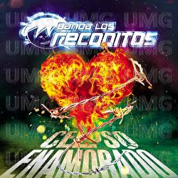 Celoso Enamorado - Banda Los Recoditos