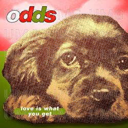 Love Is What You Get - Odds