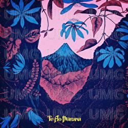 Te Ao Mārama