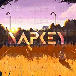 Orange - Napkey