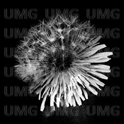 Time Factor - KAMI WA SAIKORO WO FURANAI