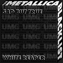 Sad But True - White Reaper