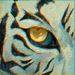 Kohaku No Me - Rinne