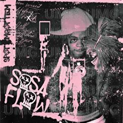 Sosa Flow - SpotemGottem