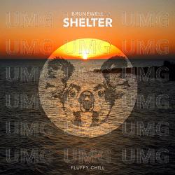 Shelter - Brunewell