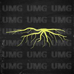 Raiz - Harold, L-Ali