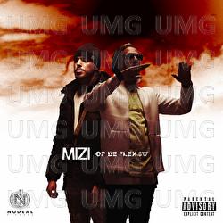 OP de Flex 4 - Mizi