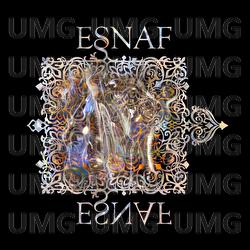 Zapjevala sojka ptica - ESNAF
