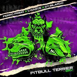 Pitbull Terrier Biry - L-Gante, Perro Primo, DT.Bilardo