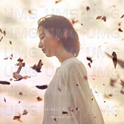 seeker - Novelbright