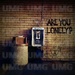 Are You Lonely - Welshly Arms