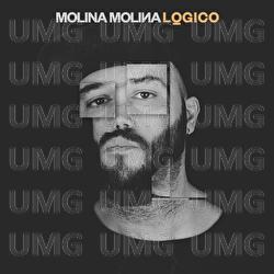 L&oacute;gico - Molina Molina