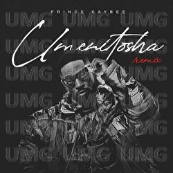 Umenitosha - Prince Kaybee, Polaris