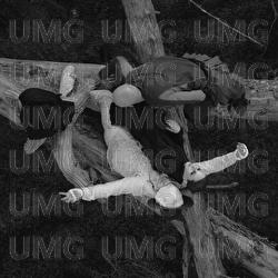 Potrzeba Skal - Rosalie., Król