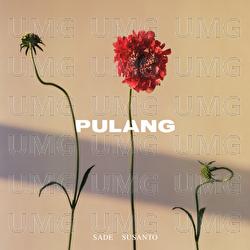 Pulang - Sade Susanto