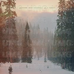 Snowfall in a Forest - Jackson Love