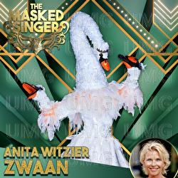 Physical - The Masked Singer, Anita Witzier