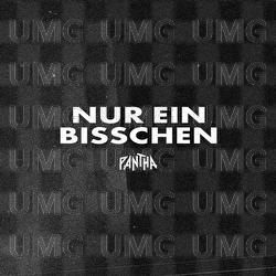 Nur ein bisschen - PANTHA