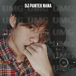 DJ PANTEK NANA - Wisnu Ugil