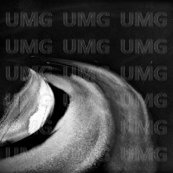 What They'll Say About Us - FINNEAS