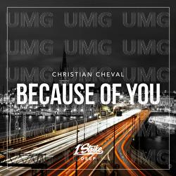 Because Of You - CHRISTIAN CHEVAL