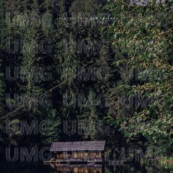 Old Friends - Jackson Love