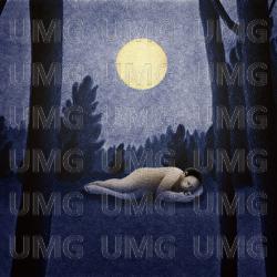 Winter Night - Tag Bo nee