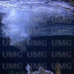 Please love me, Please - RUA