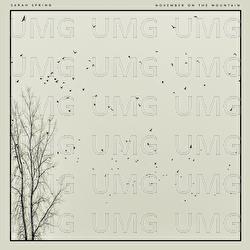November on the Mountain - Sarah Spring