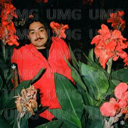 Autumn Collection - Triple One