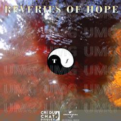 Reveries Of Hope - Tangible Feelings