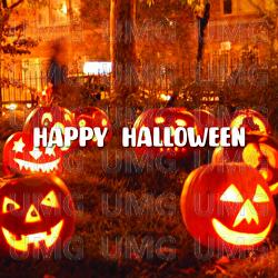 Happy Halloween - Shin Hong Vinh