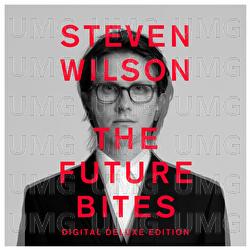 KING GHOST - Steven Wilson