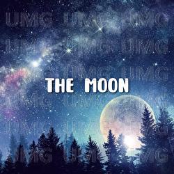 The Moon - Shin Hong Vinh