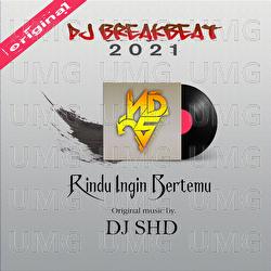 Rindu Ingin Bertemu - DJ SHD
