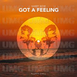 Got A Feeling - Harry Bow