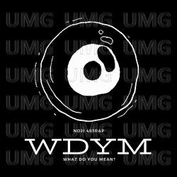 WDYM - Noji 483
