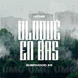 Bloqu&eacute; en bas - Leonis