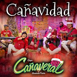 Cañavidad