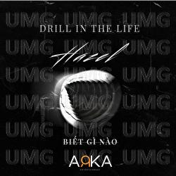 Biet Gi Nao - Hazel