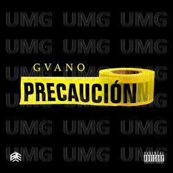 Precauci&oacute;n - Gvano
