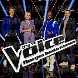 The Voice 2022: Blind Auditions 2 - Various Artists