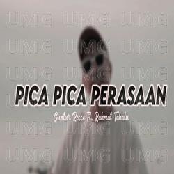 Pica Pica Perasaan - Rahmat Tahalu, Guntur Resse