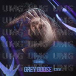 Grey Goose - Bozza, Bausa