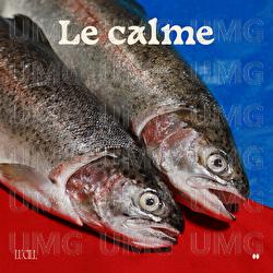 Le calme - Lucill