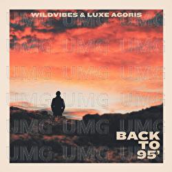 Back To &lsquo;95 - WildVibes, Luxe Agoris