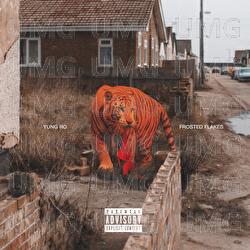 Frosted Flakes - Yung Ro