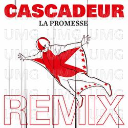 La promesse (Niklas Paschburg Remix) - Cascadeur, Niklas Paschburg